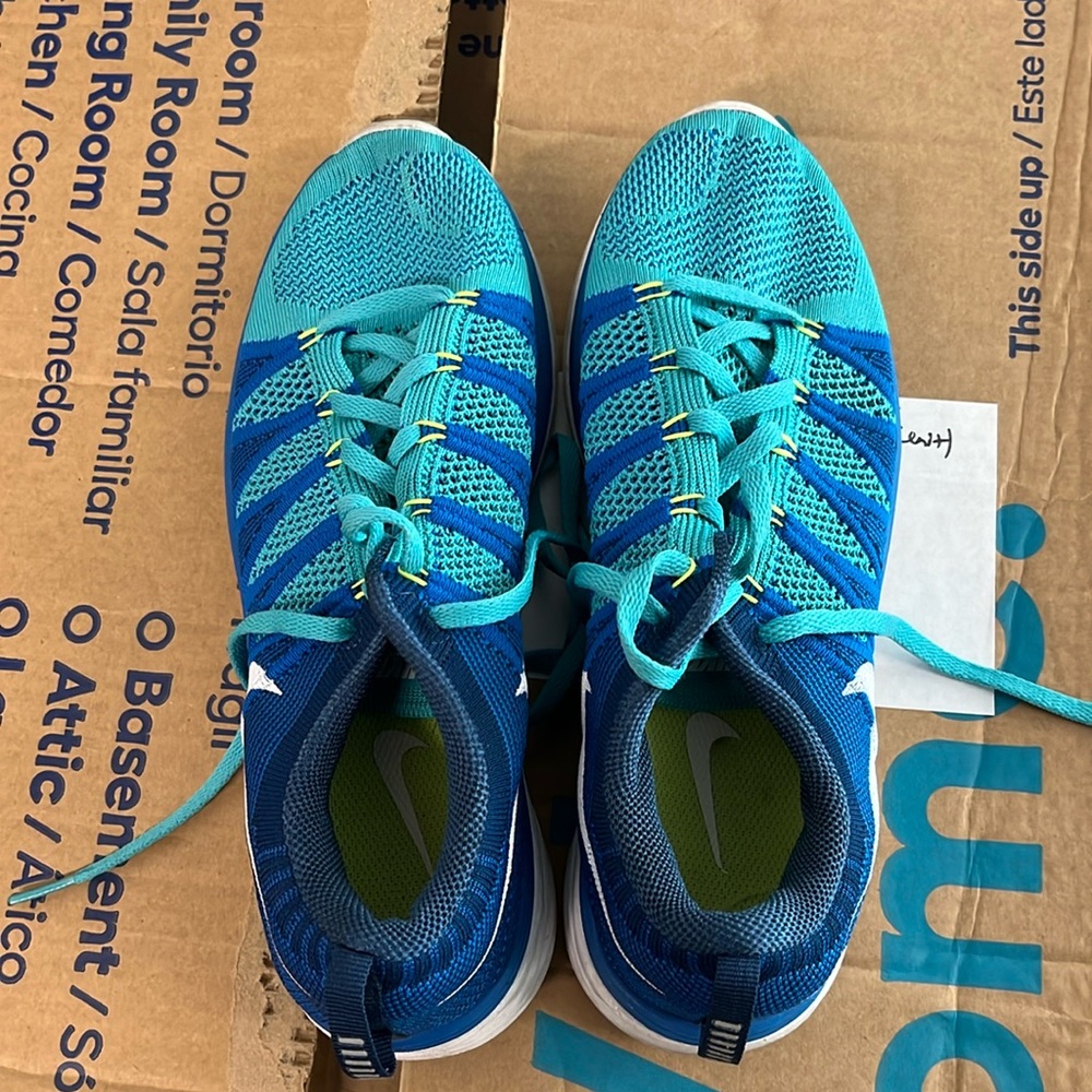 Nike Men's Teal and Blue Athletic Running Shoes